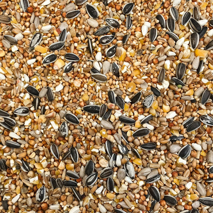 4BirdsVildfuglebl.Luxus20kg.jpg