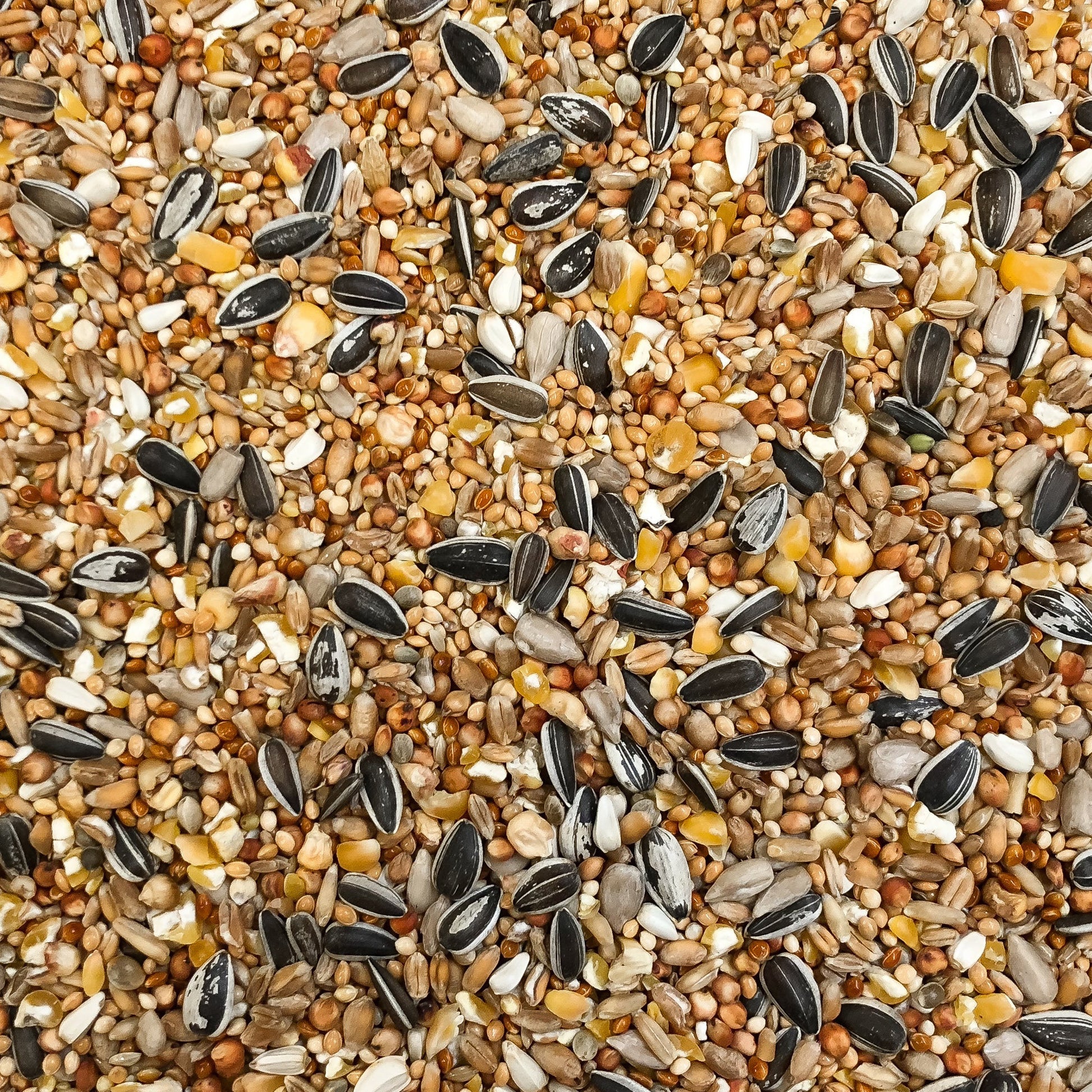 4BirdsVildfuglebl.Luxus20kg_e5d50f60-e2f1-475b-8f1d-2e66bead68c4.jpg