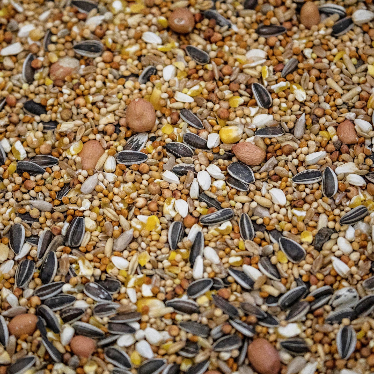 4BirdsVildfugleblandingSuperLuxus20kg_foderbillede_620a3bda-07f0-407a-95d4-ecdc2f674cf6.jpg