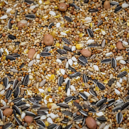 4BirdsVildfugleblandingSuperLuxus20kg_foderbillede_620a3bda-07f0-407a-95d4-ecdc2f674cf6.jpg