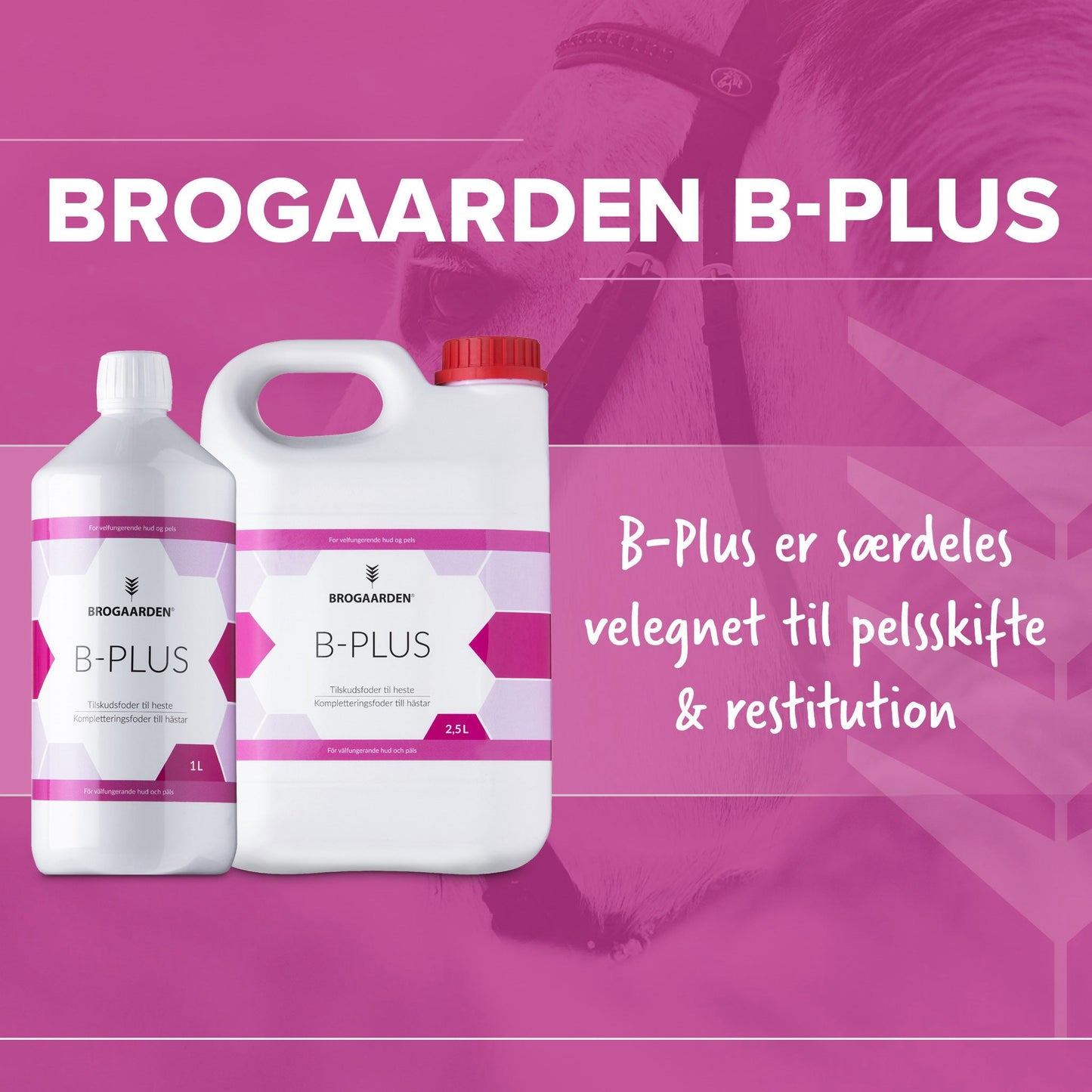 BrogaardenB-Plus-B-Vitamin_dc4621bb-1e2a-4194-bec8-845d89848795.jpg