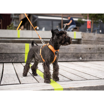 DOGCopenhagenSelenpahund-ComfortWalkAir-Orange.jpg