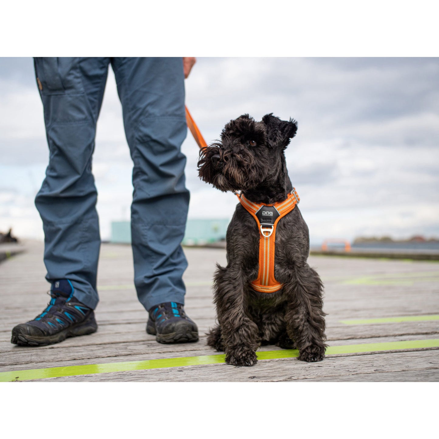 DOGCopenhagenSelenpahunde-ComfortWalkAir-Orange.jpg