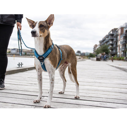 DOGCopenhagenSelepahund-ComfortWalkAir-Bla.jpg