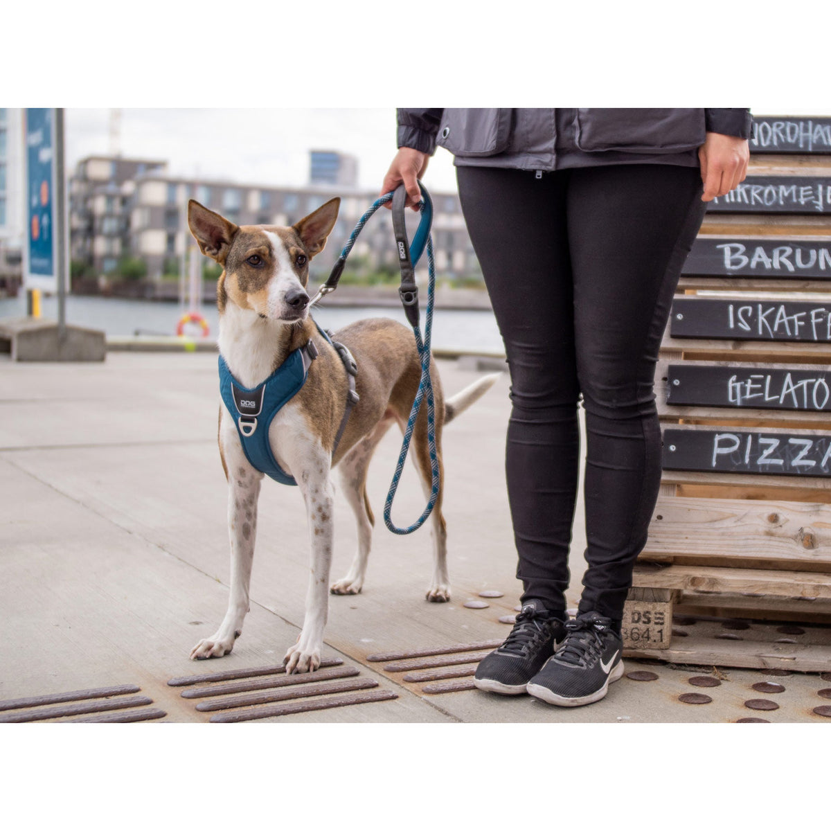 DOGCopenhagenSelepahund-ComfortWalkPro-Orange.jpg