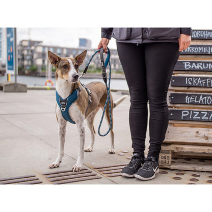 DOGCopenhagenSelepahund-ComfortWalkPro-Orange_4a4a7221-728d-4515-9185-e0e2bb4f11b4.jpg