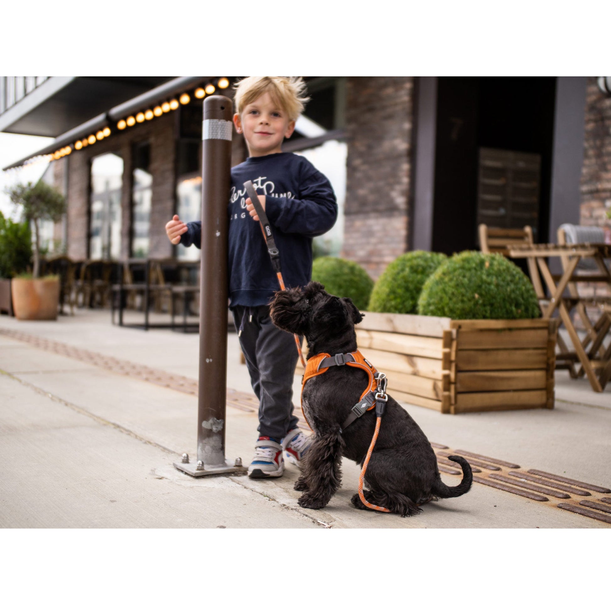 DOGCopenhagenselepahunden-ComfortWalkPro-Orange_e2a04a6e-0894-4b79-b76c-d998b29086e1.jpg