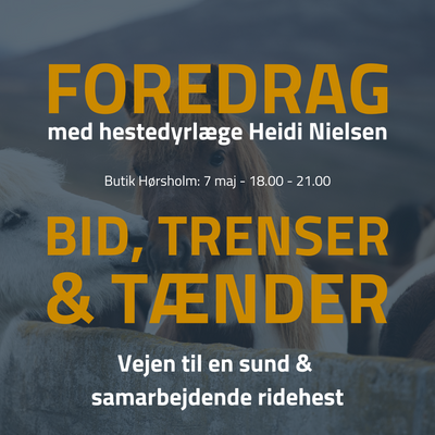 FOREDRAG-3.png