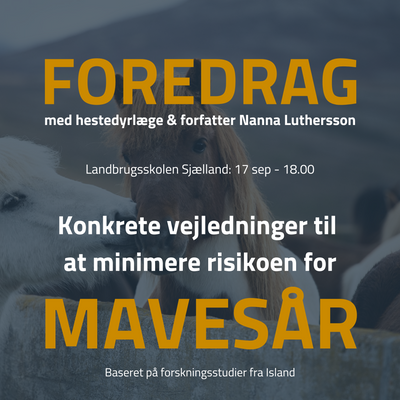 FOREDRAG-4.png