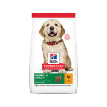 Hill_sPuppyLargebreedKylling12kg.jpg