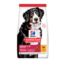HillsadultLargebreed12kg.jpg