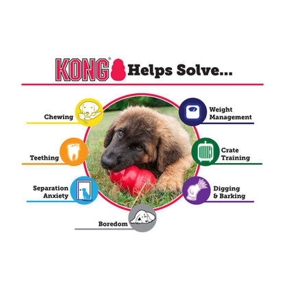 Kong_Extreme_aktivitet_fordele.jpg