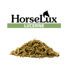 Lucerne.jpg