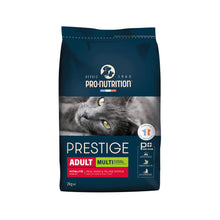 PrestigeCat4.jpg