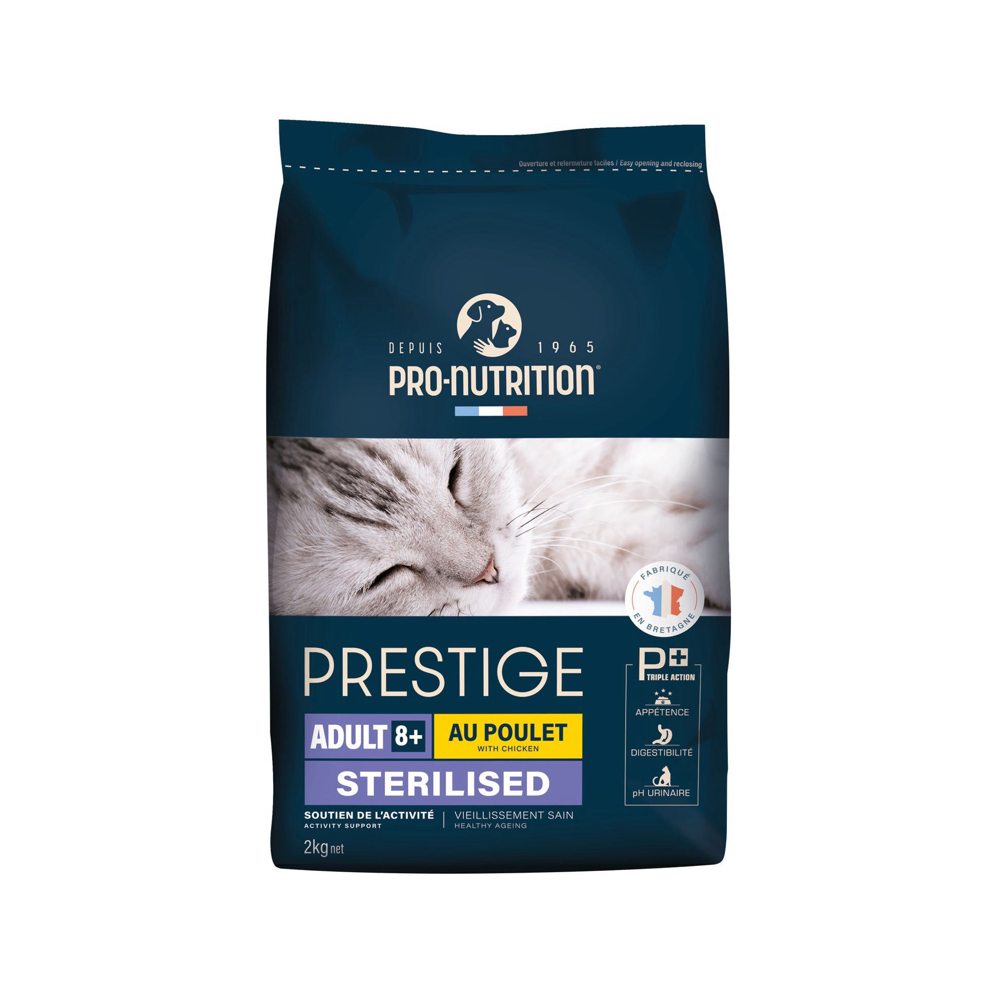 PrestigeCat8.jpg