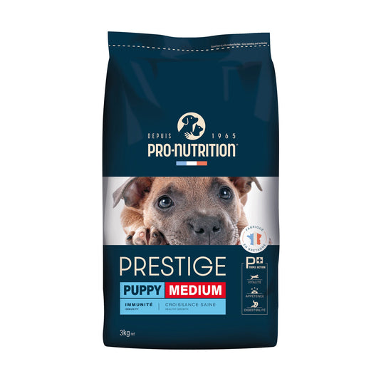 PrestigeDog2.jpg