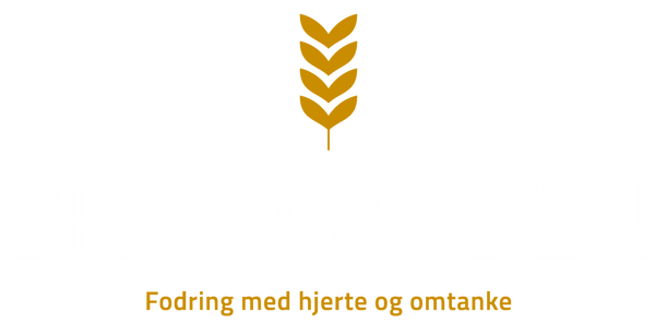 Brogaarden