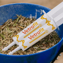 Vetrofit.jpg