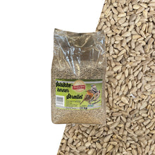 Afskallede Solsikkefrø - 3 kg
