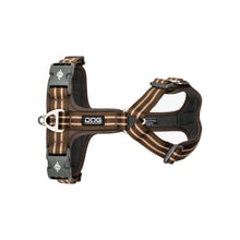 air-mocca-1.jpg