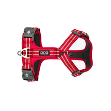air-roed-1.jpg