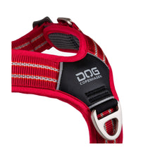 air-roed-2.jpg