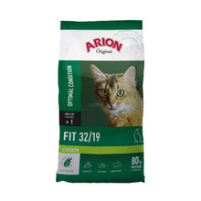 arion-cat-fit.jpg