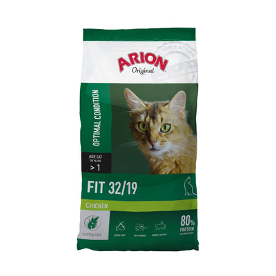 arion-cat-fit.jpg