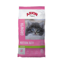 arion-cat-kitten.jpg