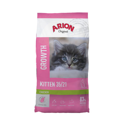 arion-cat-kitten.jpg