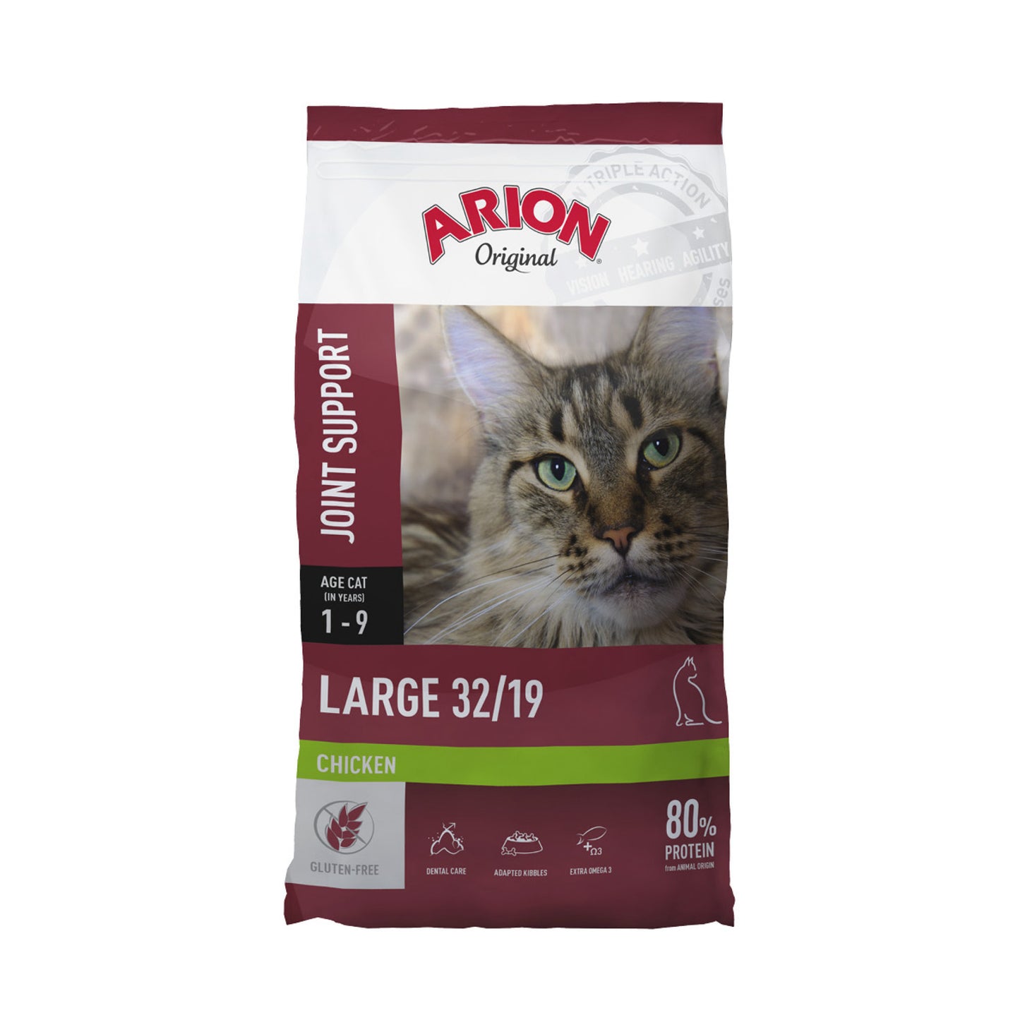 arion-cat-large.jpg