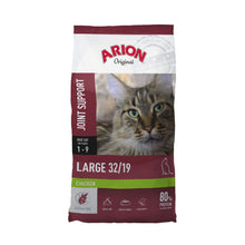 arion-cat-large.jpg