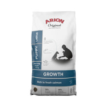 arion-puppy-large-12.jpg