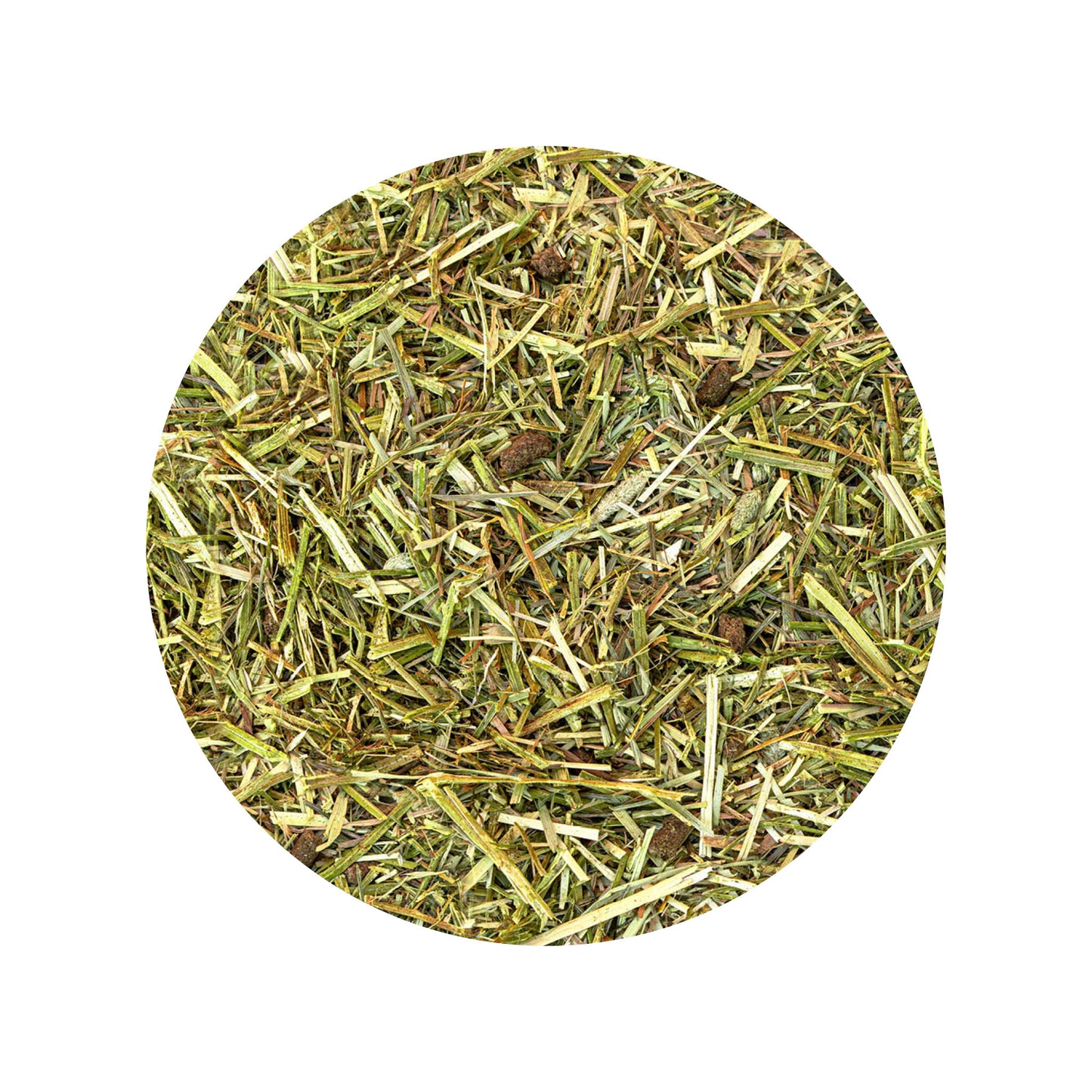 aveve-fiber-sport.jpg