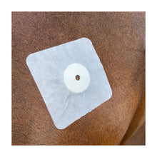 bacxi-plaster-10x10.jpg