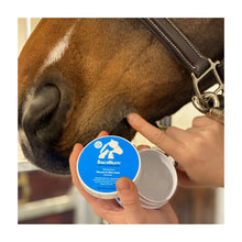Bacxitium Desinficerende Sårsalve - 100 ml