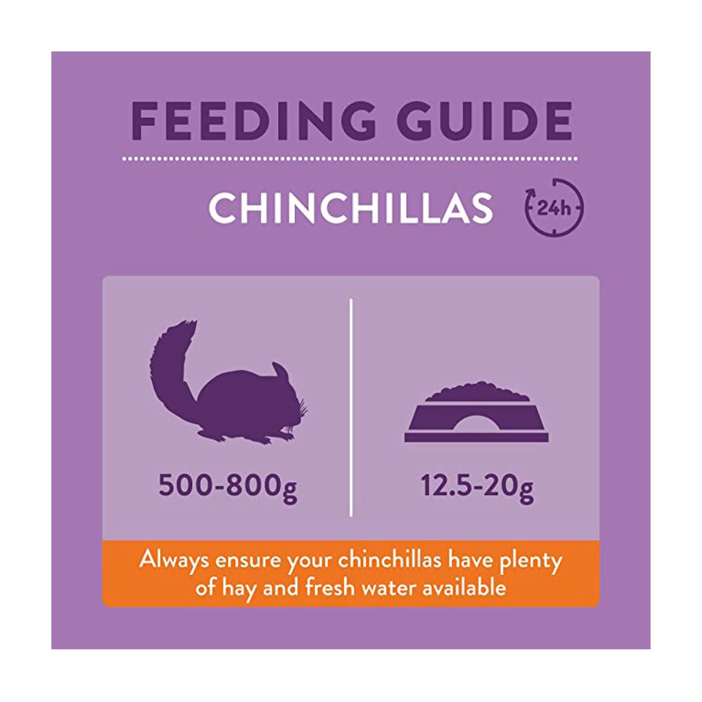 burgess-chinchilla-2.jpg