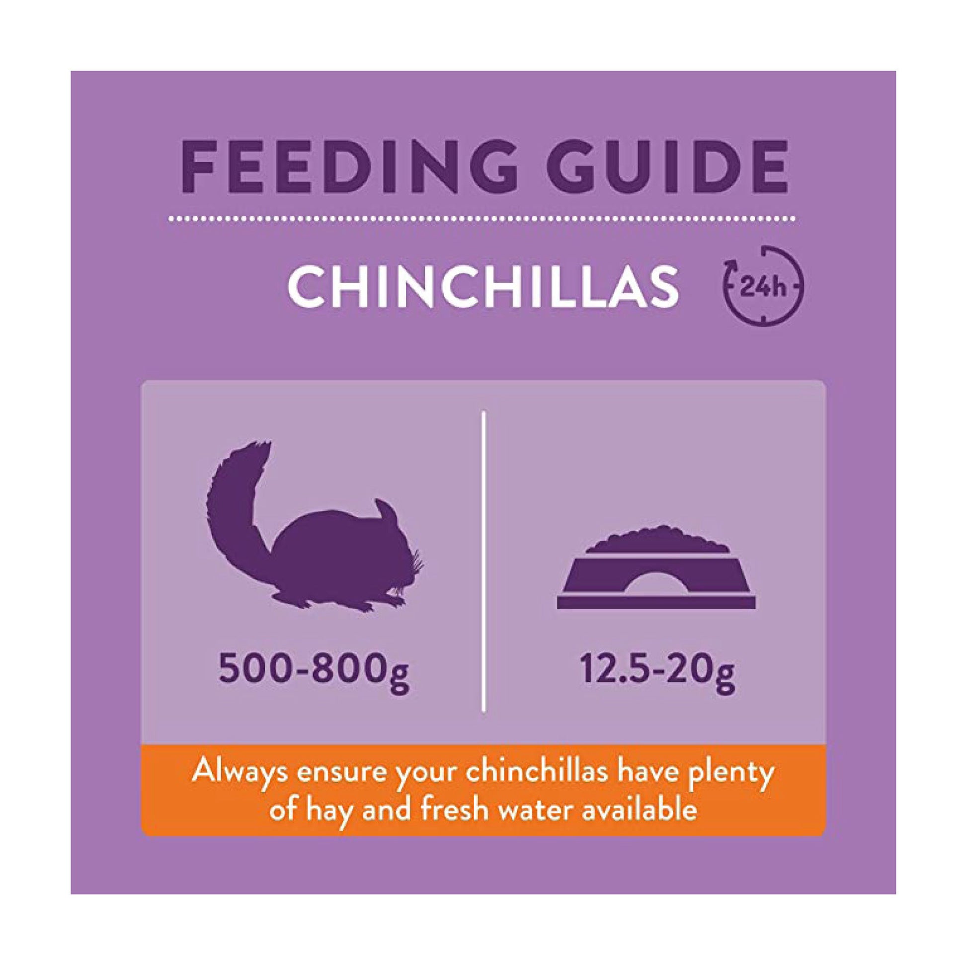 burgess-chinchilla-2.jpg
