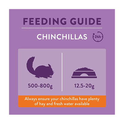 burgess-chinchilla-2.jpg