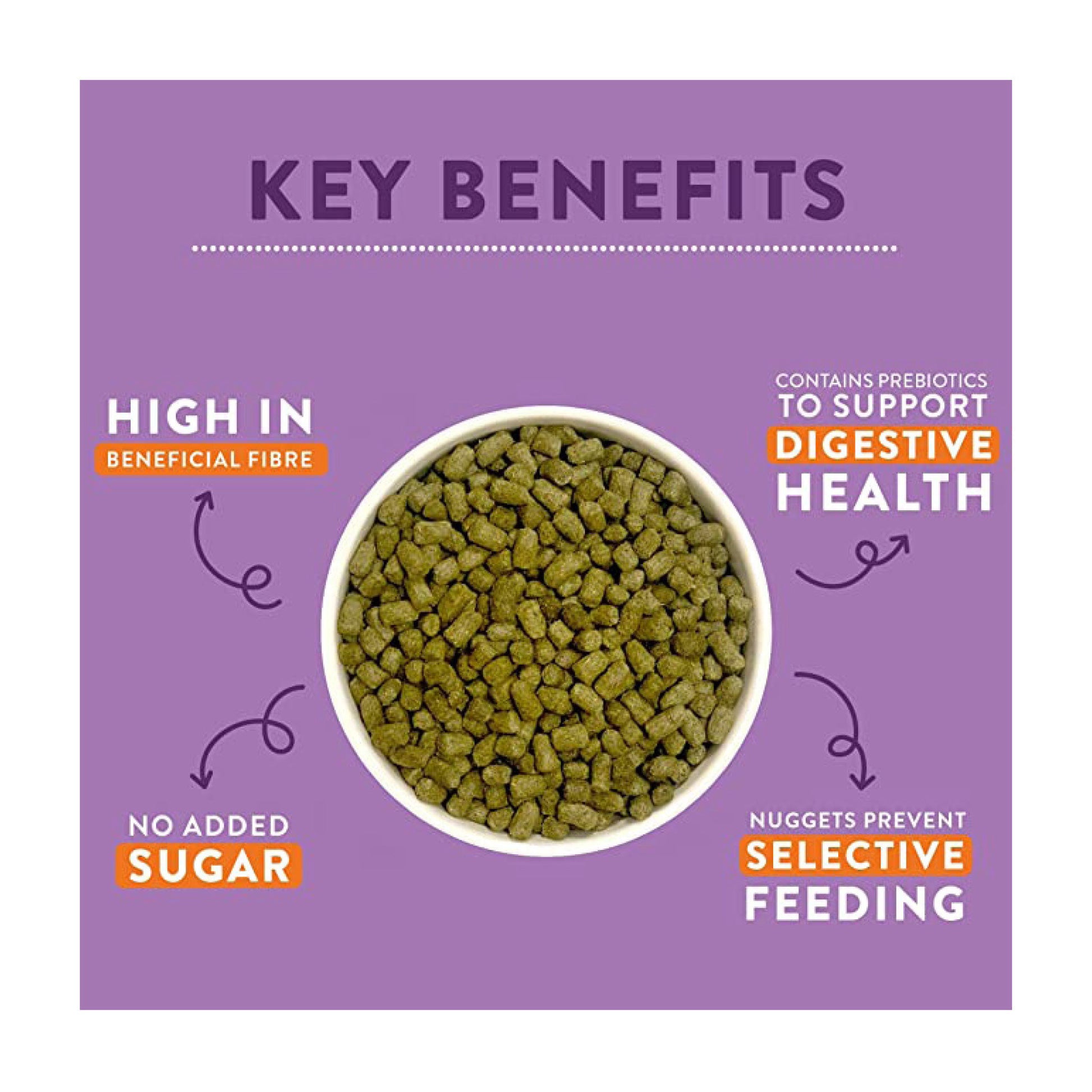 burgess-chinchilla-3.jpg