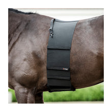 catago-bodyshield.jpg