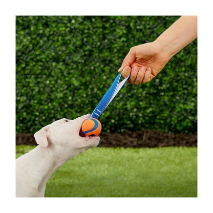 chuckit-ultra-ball.jpg