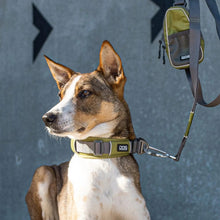 dog-explorer-groen-hund.jpg