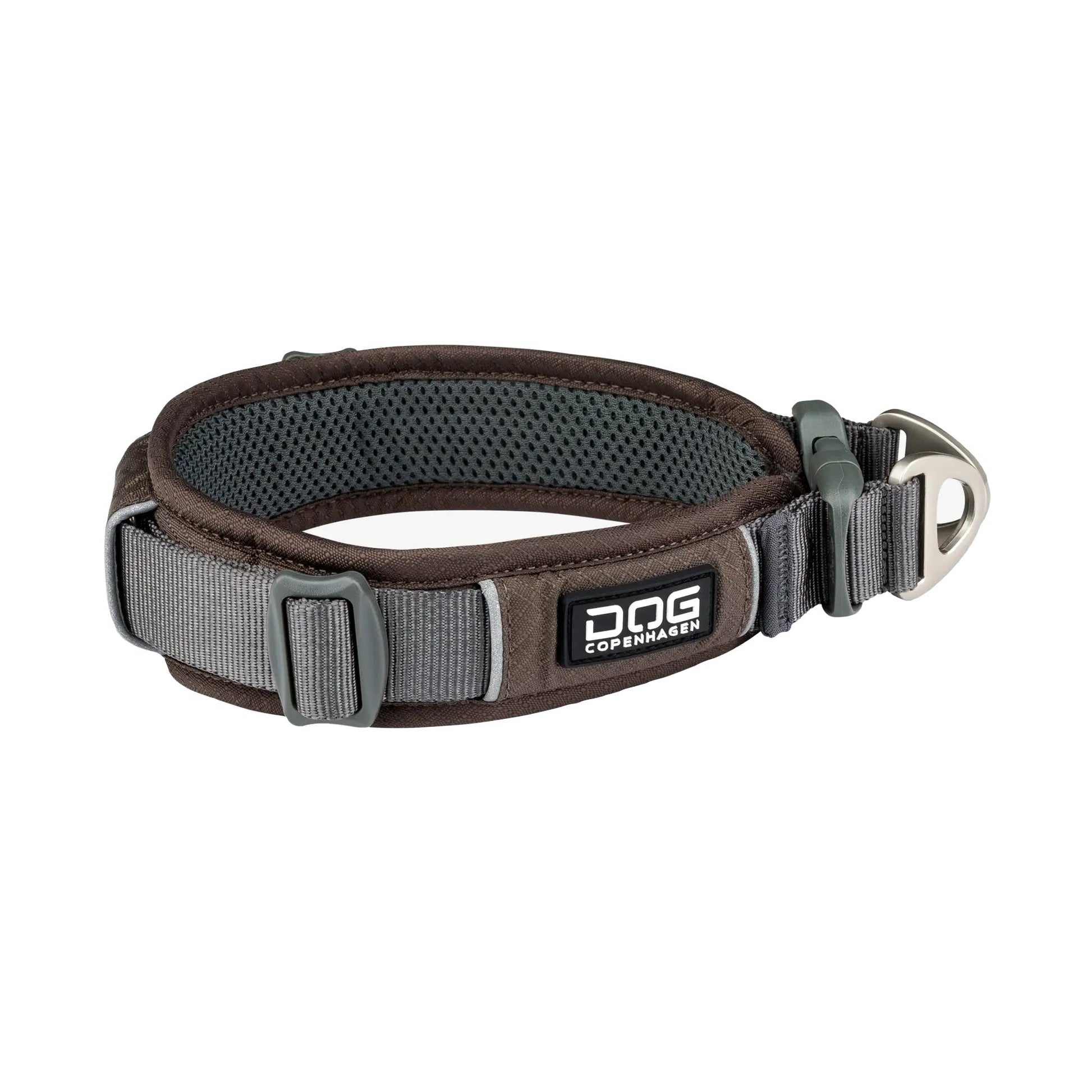 dog-explorer-mocca.jpg