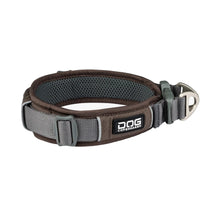 dog-explorer-mocca.jpg