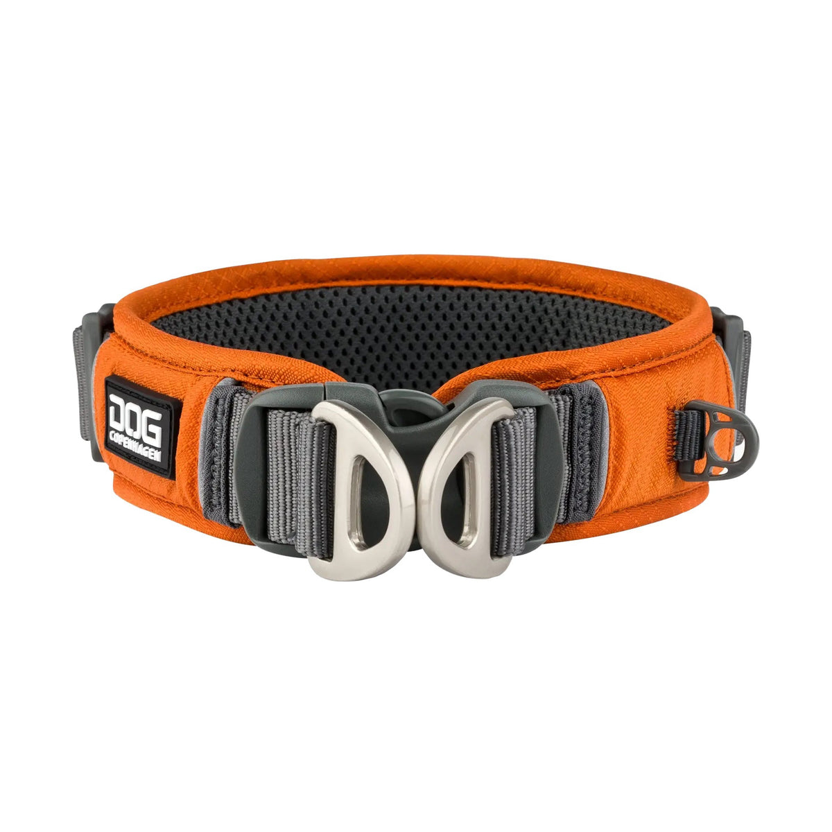 dog-explorer-orange-1.jpg