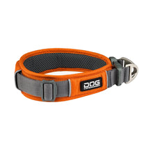 dog-explorer-orange.jpg