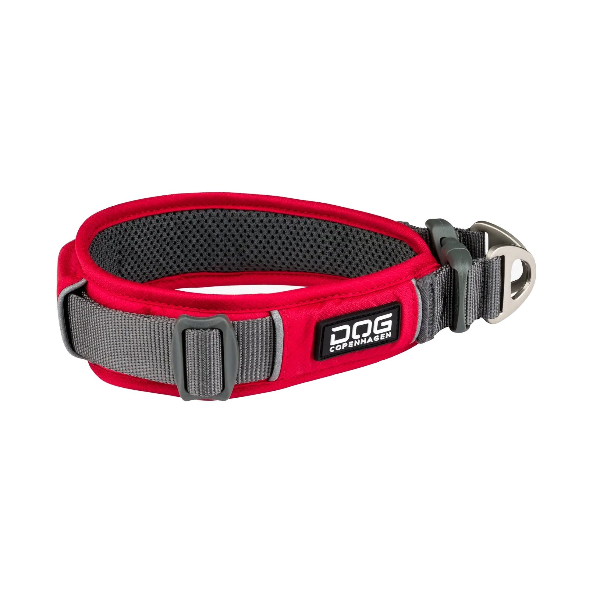 dog-explorer-roed.jpg