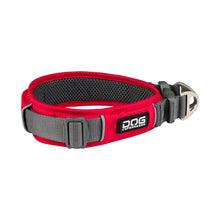 dog-explorer-roed.jpg
