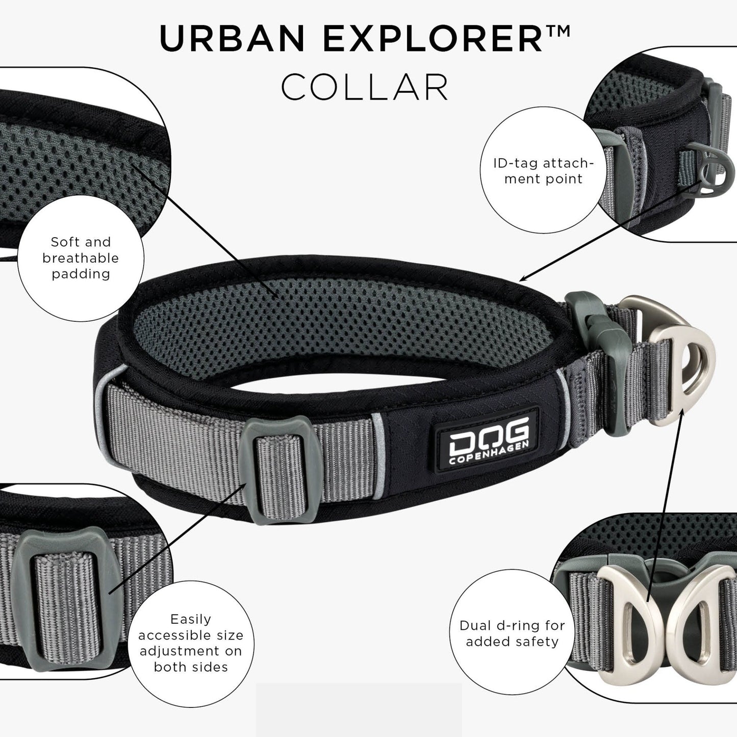 dog-explorer-sort-2.jpg